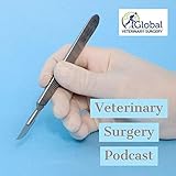 Veterinary Surgery Podcast