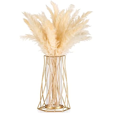 Sziqiqi Gold Vase für Pampasgras, Kleine Modern Blumenvase Vasen Deko für Tischdeko, Metall Tulpenvase Glasvase Reagenzglas Vase Glas für Wohnzimmer Hochzeit Tisch Regal Badezimmer Esstisch Fenster Cover