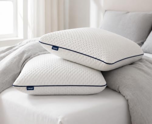 Travesseiro Luuna Viscoelástico com Capa Removível e Lavável, Suporte para Cabeça e Pescoço, Toque Macio