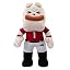 Georgia Bulldogs