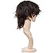Ecvtop Wigs for Mens' Death Note Male Short Hair Wig Costume Cosplay Wigs (Dark Brown)