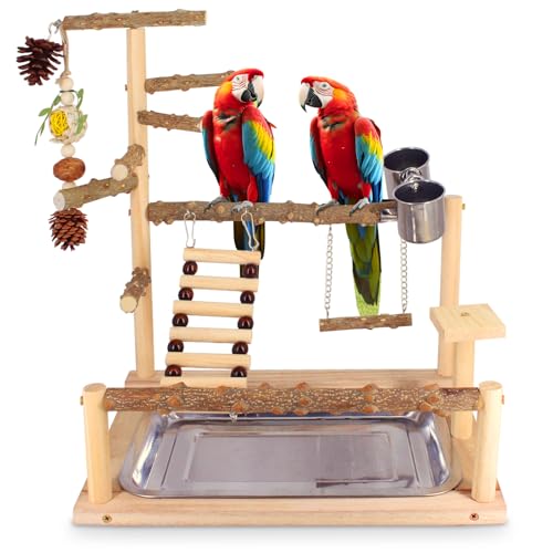 Bird Playground Natural Parrot Toys Perch Stand Cockatiel Swing with Chew Toys Parrot Platform with Feeder Cups Parakeet Playground Bird Cage Play Stand for Conure Parakeet Cockatiel