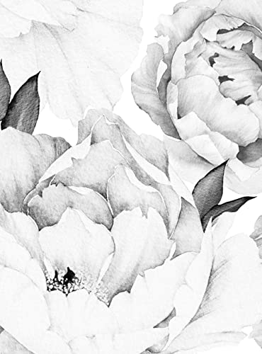 Simple Shapes Peony Flower Mural Wall Art Wallpaper - Black & White #TOP6