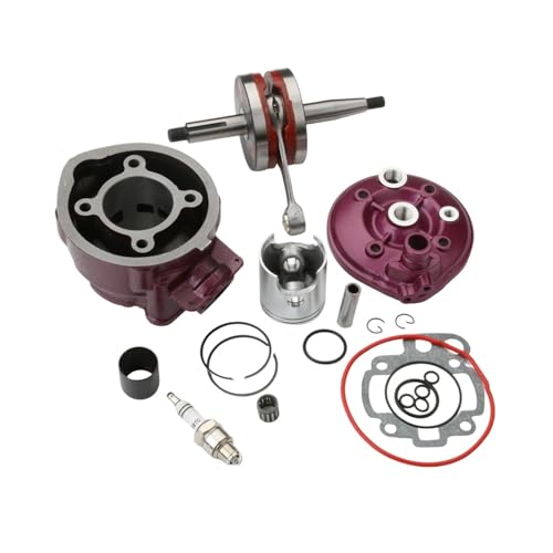 Cilindro de 90 cc y 49 mm para RYZ SM50cc, mejora el torque de tu moto