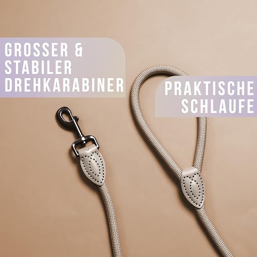 ne&no Tauleine 1.7m (leicht dehnbar) für mittelgroße bis ganz große Hunde I Trainingsleine I Hundeleine robust I Führleine rund, geflochten I Seil Leine Hund I Cityleine I Dog Leash Taupe, 170 cm