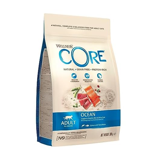 WELLNESS CORE Sec sans Grain Chat Nourriture Ocean Saumon avec Thon, 300 g