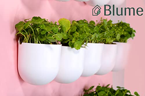 BLUME Bubble Small Wall Hanging Planters| Hanging Flower Pot, Hook Hanging Plastic Plant Pot Container Set For Indoor, Outdoor Living, Home, Gardening, Set Of 6 (White)