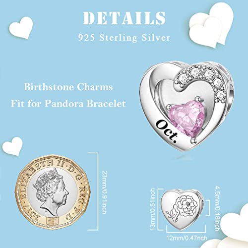 Abalorio flor de nacimiento SEVENWELL en plata lleva tu historia en la pulsera 5