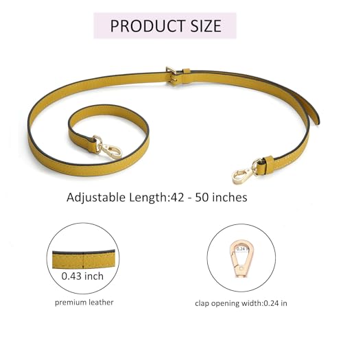 Image of Crossbody Strap Compatible for Longchamp LP Xtra XS Pouch, Conversion Kit,GOLD Hardware