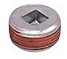 1 Inch NPT Magnetic Drain Plug (1 EA)