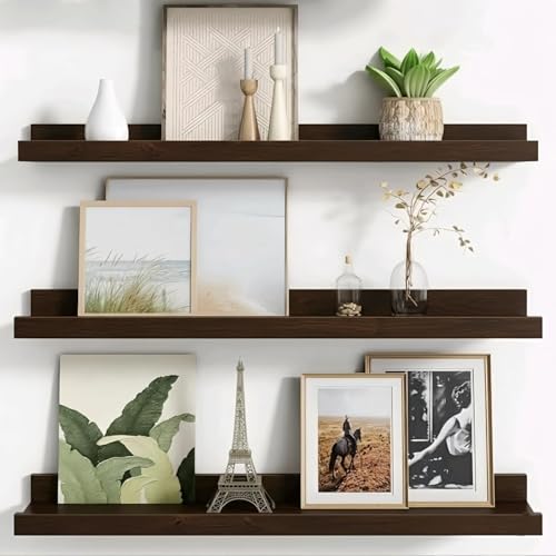 OXMIC Engineered Wood Floating Picture Ledge Shelves, Shelf for B...