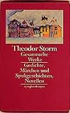novellierung definition  Gesammelte Werke: Gedichte, Märchen und Spukgeschichten, Novellen