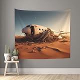 WBQLSL crashed plane Wall tapestry 60x51 inches for partition curtain sofa blanket