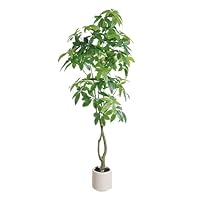 Amazon｜三栄コーポレーション 人工観葉植物 光触媒 フェイクグリーン