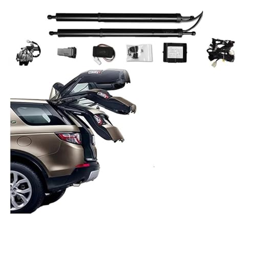 �d���e�[���Q�[�g�K�X�T�|�[�g�X�g���b�g �ɓK������ ���N�T�X RX300 2016-2021 �d���e�[���Q�[�g �J�[���t�g �����g�����N�J���[�^�[ �g�����N�p���[���t�g�Q�[�g�T�|�[�g�p(No Kick Senor)