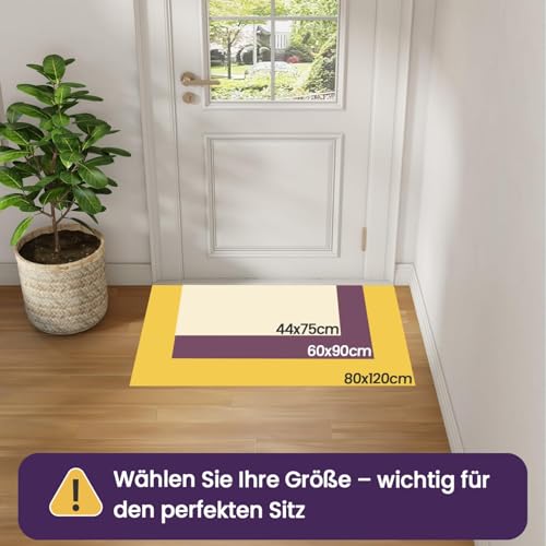 DEXI Fußmatte Innen 44 x 75cm, rutschfest Schmutzfangmatte, waschbar Fussmatte, Dünne Eingangstürmatte, Strapazierfähige Türmatte für Innenbereich, Beige