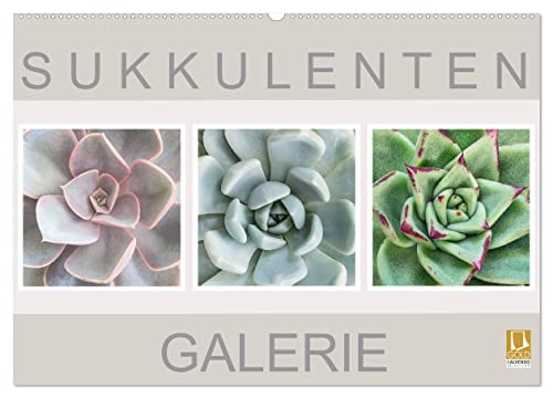 Sukkulenten Galerie (Wandkalender 2026 DIN A2 quer), CALVENDO Monatskalender: Beeindruckende Nahaufnahmen von Sukkulenten (CALVENDO Natur)