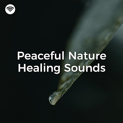 Reiki Healing Music