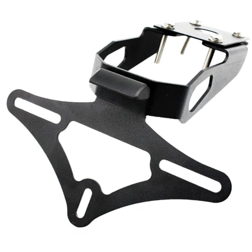 Support de Plaque d'Immatriculation Moto Z650 2017-2023 Arrière Bien Rangé LED