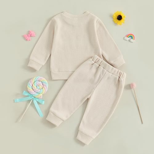 Toddler Baby Girl Fall Winter Outfit Silly Goose Waffle Long Sleeve Sweatshirt Jogger Pants Set 2Pcs Cute Clothes4