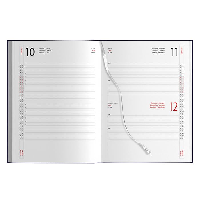 Agenda 2025 Giornaliera Organizer 15x21 cm Per Appuntamenti Ufficio Casa e Lavoro Professionale - Copertina Rigida (10, blu, 15x21 cm)