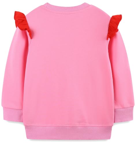 Image of Hongshilian Unisex Kids Cute Cartoon Cotton Sweater Shirt
