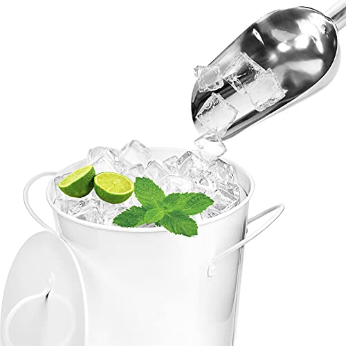 Cyeah 8 Pcs Stainless Steel Ice Scoop 6Oz, 9Inch Metal Food Scoop Small Size For Ice Cube, Candy, Flour, Sugar, Ice Cube Scoop For Canisters, Baking, Kitchen Pantry, Rust Free #TOP4