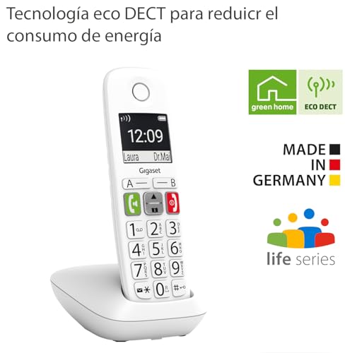 Téléphone DECT Gigaset E290 fixe analogique sans fil avec écran rétroéclairé - 5