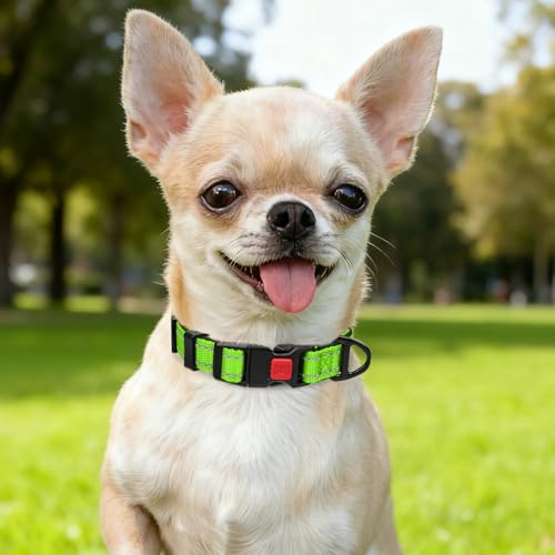 Image of Taglory Reflective Dog Collar for Puppies, Gentle and Safe for Night Walks