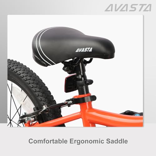 AVASTA Bilbo 24 Inch Road Bike