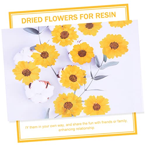 96 unidades flores secas para manualidades DIY miniatura 2
