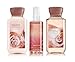 Bath & Body Works Warm Vanilla Sugar Mini Set | Shower Gel, Body Lotion & Fragrance Mist