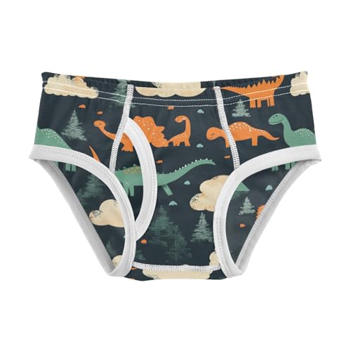 Wusikd Dinosaurs Clouds Boys' Underwear Cotton Trees Black Boys Briefs Soft Toddler Underwear 2T