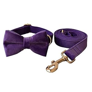 Dog Collar Custom Personalized Engraved Name and Phone Number for Puppy Small Medium Large Pets (L, Purple)