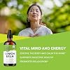 Vimergy Brain Body Rescue Kit* - Ashwagandha (115mL) + Lemon Balm (115 mL)