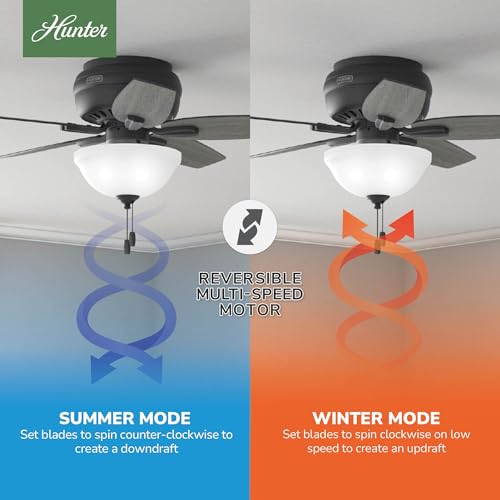 Image of Hunter Newsome, Indoor, Ceiling Fan, with LED Light, 42 inch, Matte Black