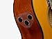 Yamaha CSF-TA Parlor Transacoustic Guitar with Chorus and Reverb - Gig Bag Included