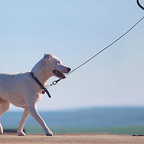 Filhome 4 Ft Chew Proof Metal Dog Leash With Coated Steel Cable And Padded Handle Unchewable Wire Dog Leash For Small Medium Dogs #TOP6