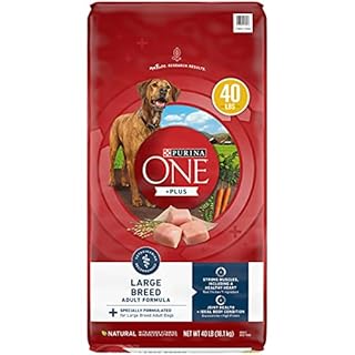 https://m.media-amazon.com/images/I/41mihg5D-tS._UL320_.jpg