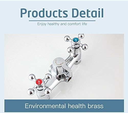 Robinet de douche double trou au fini soigné avec ensemble de douche mural haut de gamme