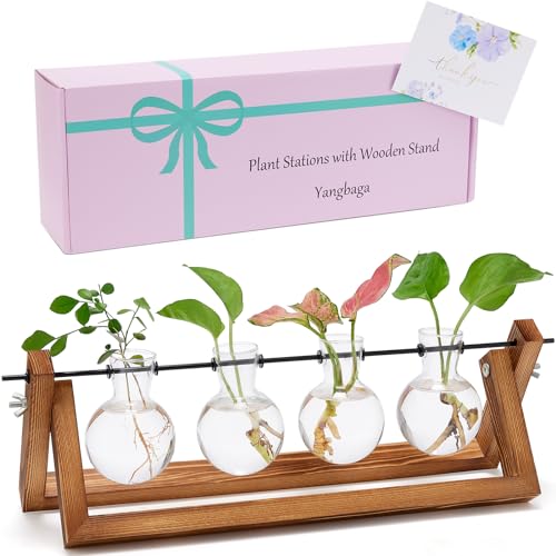 Yangbaga Plant Terrarium with Wooden Stand,Plant Propagation Stations Desktop-Plant Gifts for Plant Lovers Women for Windows Indoor Plants Office Home Garden Decor 3 Bulb Vase