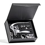 Wine Bottle Opener Set with Accessories in Luxury Magnetic Box, Pourer, extra screw | Winged Wine Opener Rabbit Red Wine Corkscrew Set by Quantum Lux (Matte Silver)