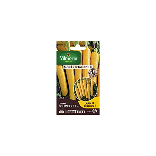 Vilmorin - Sachets graines carottes Goldnugget HF1