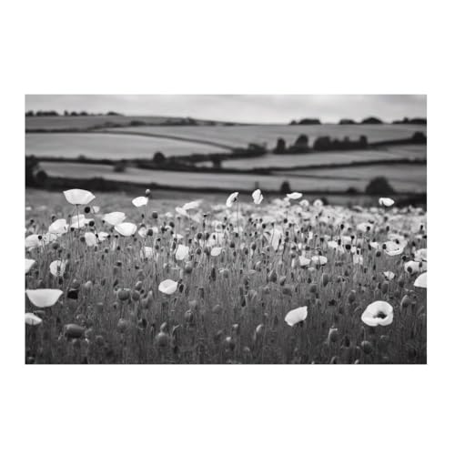 Poster champ de coquelicots en noir et blanc GAEKKO 50x50 cm pour decoration murale