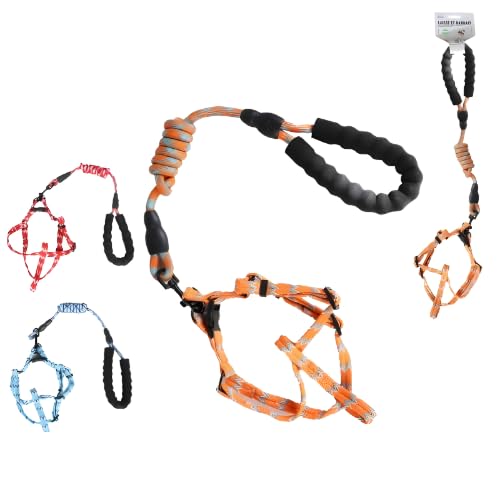 Correa Y ARNÉS DOGI con ASA ERGONÓMICA 150CM 3 Colores Surtidos