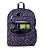 JanSport Laptop Backpack - Computer Bag with 2 Compartments, Ergonomic Shoulder Straps, 15” Laptop Sleeve, Haul Handle - Very Jelly