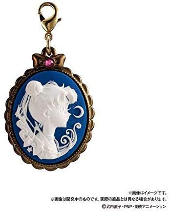 Amazon.co.jp: 美少女戦士セーラームーン カメオチャームコレクション