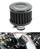 RACOONA Air Intake Filter - Car & Motorcycle Crankcase Breather Filter, Cold Air Filter (Black, 0.47')