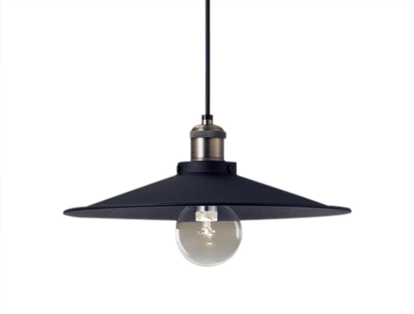 あっちゃん様専用 ホソバゴケ2トレーとコケ各種9パック Anime フラワー