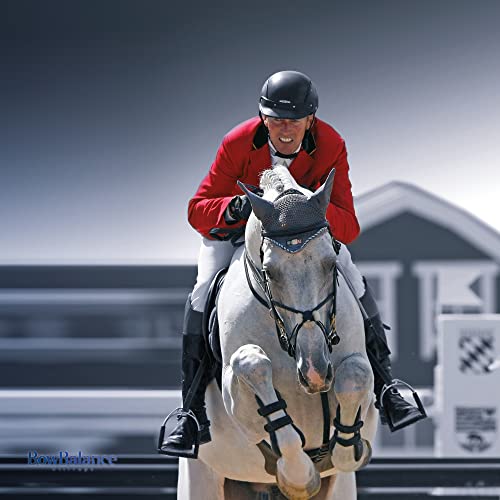 Foto von Sprenger Bow Balance Steigbügel - Edelstahl rostfrei, 120 mm Trittweite